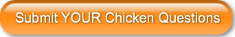 submit-your-chicken-questions