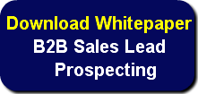 download-whitepaper-b2b-sales-lead