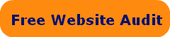 Free Website Audit