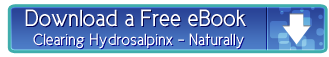 ebook-hydrosalpinx