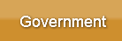 Government