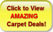 Click to View   AMAZINGCarpet Deals!