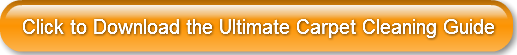 click-to-download-the-ultimate-carpet-cl