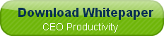 download-whitepaper-ceo-produc