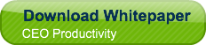 download-whitepaper-ceo-productivity