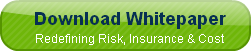 download-whitepaper-redefining-risk-i