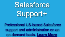 salesforce-support-professi