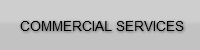 COMMERCIAL SERVICES