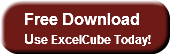 Free DownloadUse ExcelCube Today!