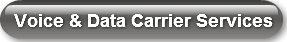 Voice &amp; Data Carrier Services