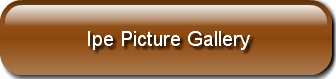 Ipe Picture Gallery