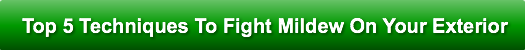 top-5-techniques-to-fight-mildew-on-your