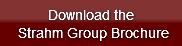 download-thestrahm-group-broch
