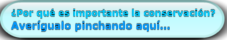 por-que-es-importante-la-conservaciona