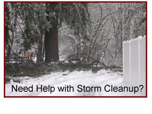 storm-cleanup-need-help-smaller