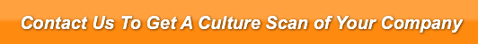 contact-us-to-get-a-culture-scan-of-your