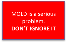 moldcta