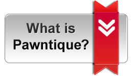what_is_pawntique