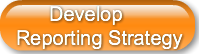 develop-reporting-strategy