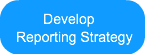 Develop Reporting Strategy