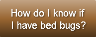 how-do-i-know-if-i-have-bed-bugs
