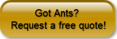 got-antsrequest-a-free-quote