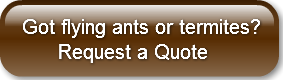 got-flying-ants-or-termites-reques