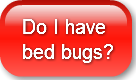 do-i-have-bed-bugs