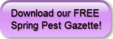 download-our-free-spring-pest-gazette