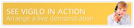 vigdemoseeinactionyellow