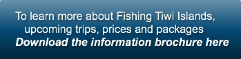 to-learn-more-about-fishing-tiwi-islands