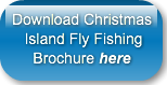 download-christmas-island-fly-fishing