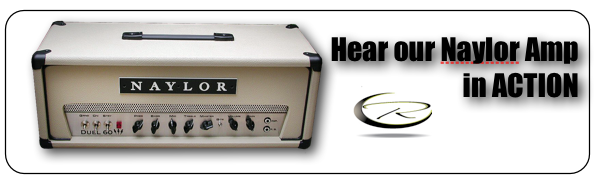 naylor-call-to-action