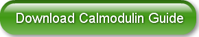 Download Calmodulin Guide