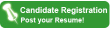 job-search-application