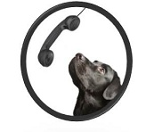 grow-your-sales-call