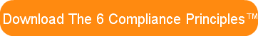 download-the-6-compliance-principlestm