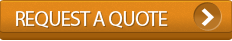 Professional Website Design