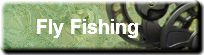 fly-fishing