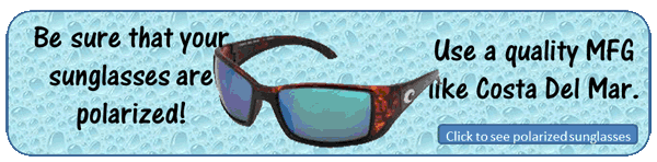 polarized-sunglasses