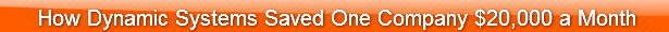 how-dynamic-systems-saved-one-company-2