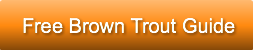 free-brown-trout-guide