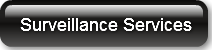 surveillance-services