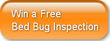 Win a Free Bed Bug Inspection