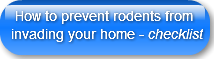 how-to-prevent-rodents-frominvading-you