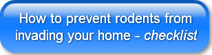 how-to-prevent-rodents-frominvading-you
