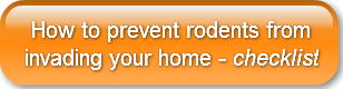 how-to-prevent-rodents-frominvading-you