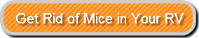 get-rid-of-mice-in-your-rv
