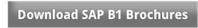 sap-business-one-brochures