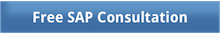 sap-consultation